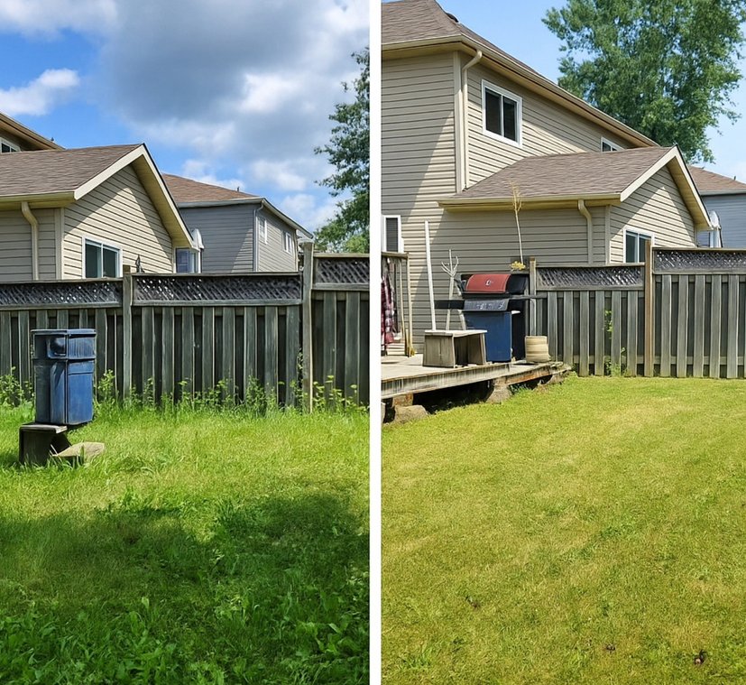 Hercules Lawn Care before and after cleanup KW