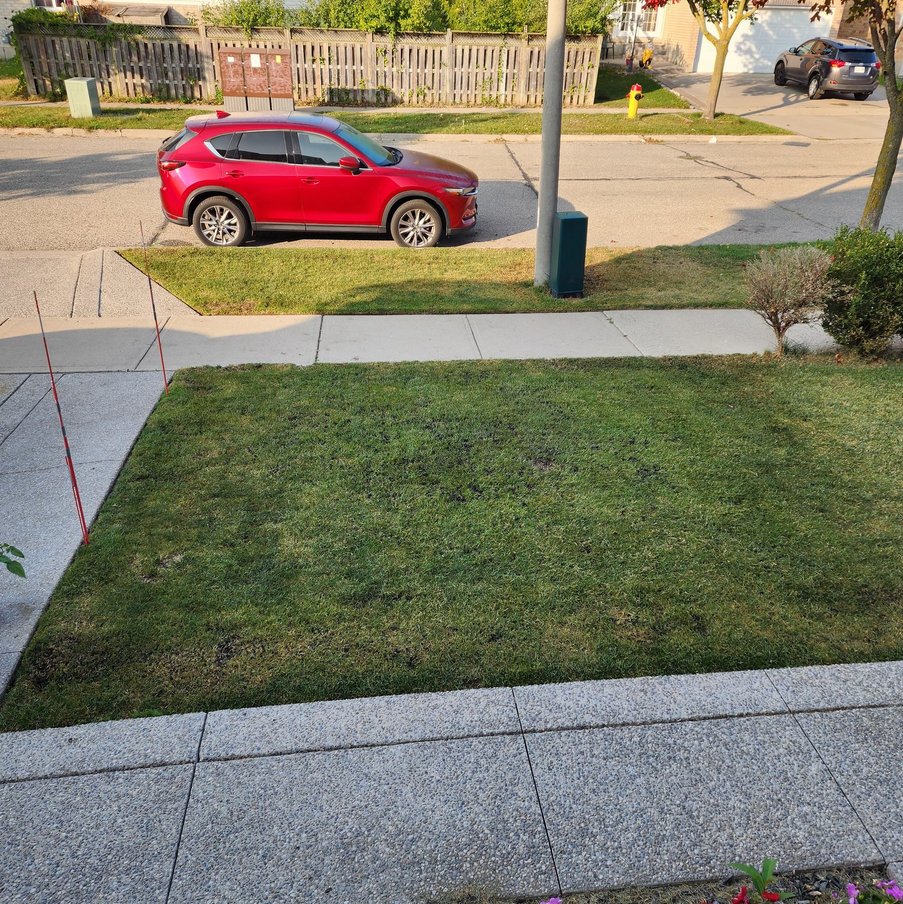 Hercules Lawn Care lawn edging Kitchener